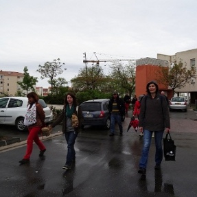 files/CCD43.JPG