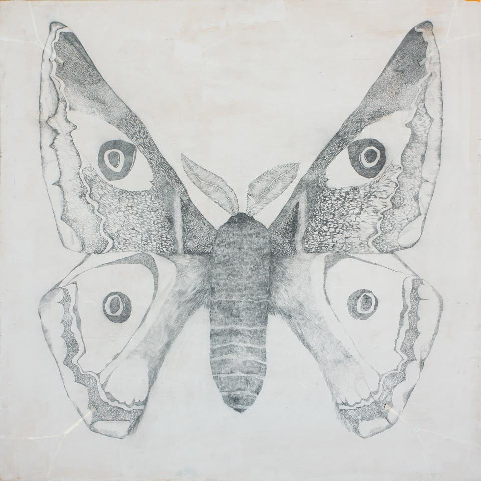 files/butterfly.jpg