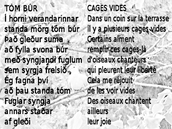 files/cages.JPG