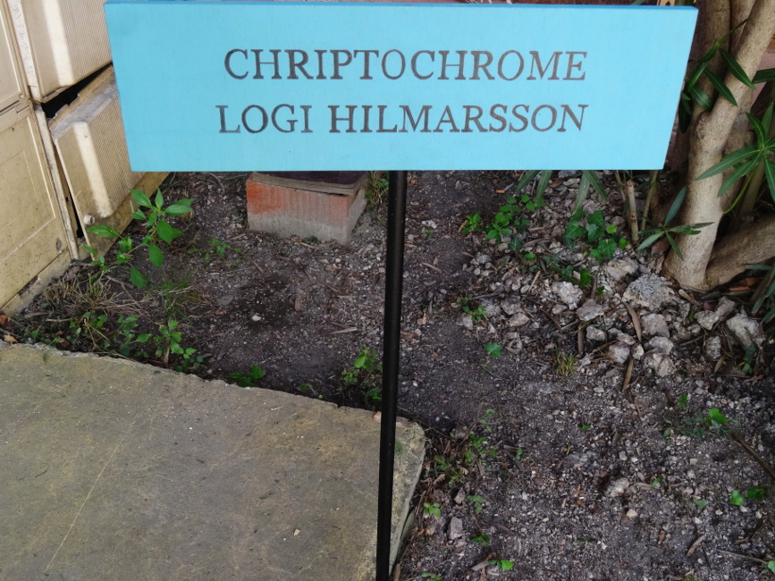 files/crlh1.JPG