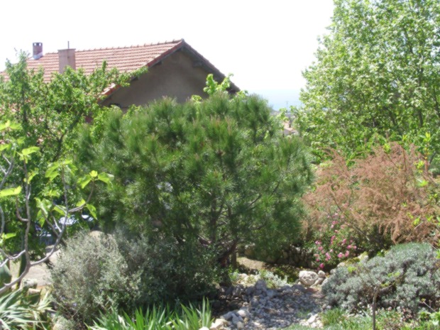 files/jardinensemble.JPG