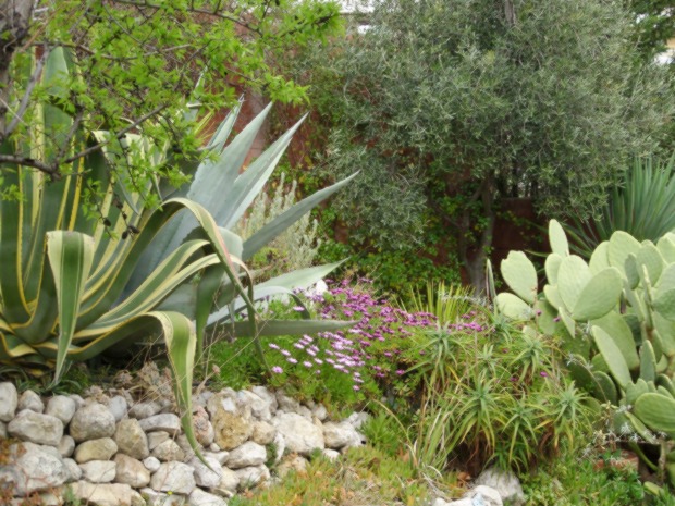 files/jardinprintemps02.JPG