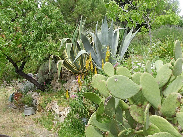 files/jardinvertjaune.JPG