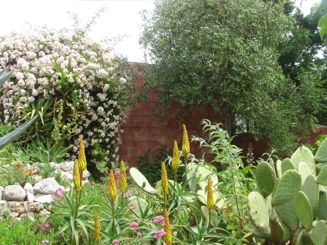 files/jardinvertjaunerose.JPG