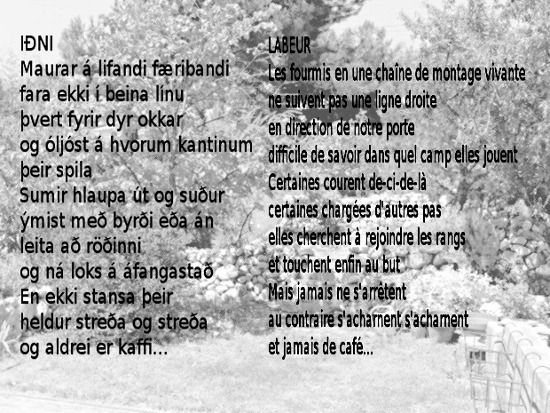 files/labeur1.JPG